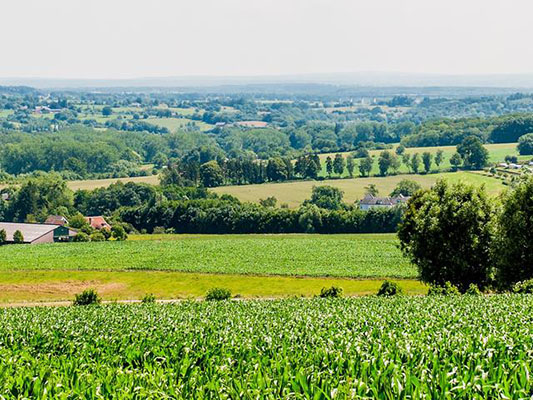 Wandelgebieden in Limburg